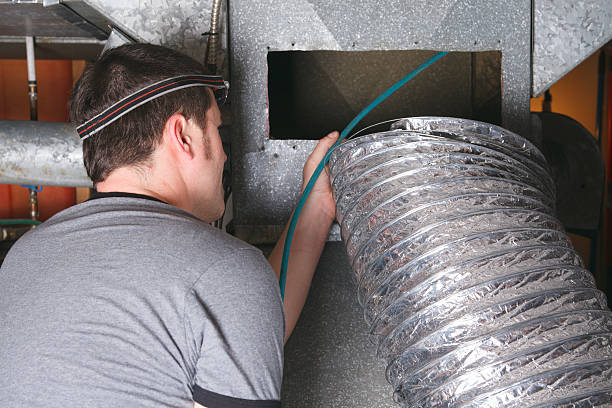 Best Professional Duct Cleaning Services  in Frankenmuth, MI