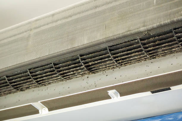 Best Commercial HVAC Duct Cleaning  in Frankenmuth, MI