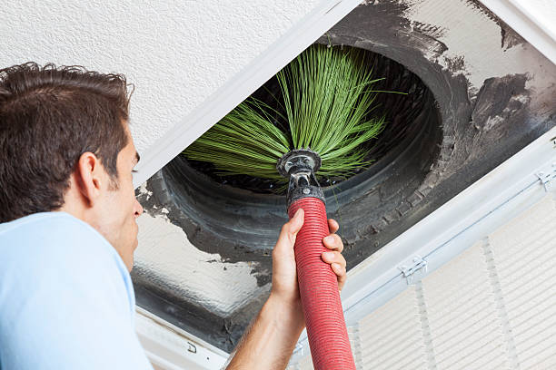 Best HVAC Maintenance and Cleaning  in Frankenmuth, MI