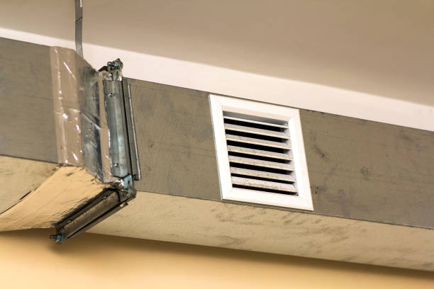 Best Affordable Air Duct Cleaning  in Frankenmuth, MI